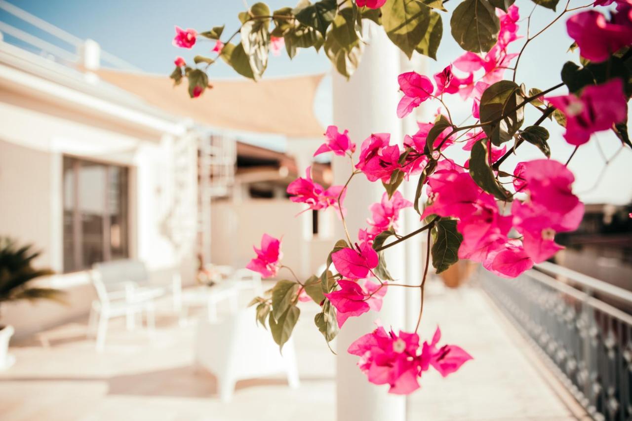 Le Antiche Colonne Bed & Breakfast Cinquefrondi Exterior foto